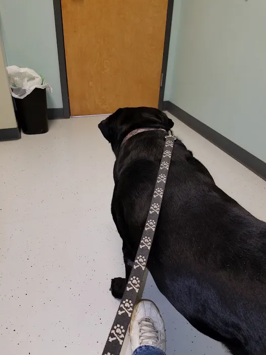 Shelby Veterinary Clinic PLLC 12