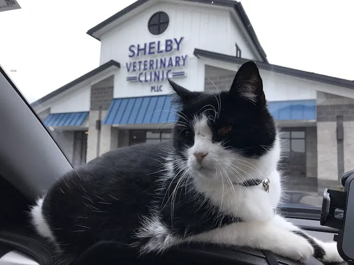 Shelby Veterinary Clinic PLLC 12