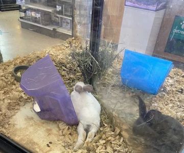 Fin & Feather Pet Center, Inc.