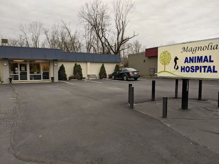 Magnolia Animal Clinic 12