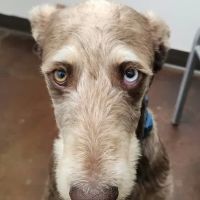 Magnolia Animal Clinic ico