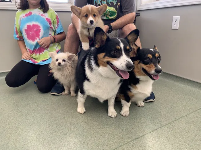 Johnson Veterinary Clinic 12