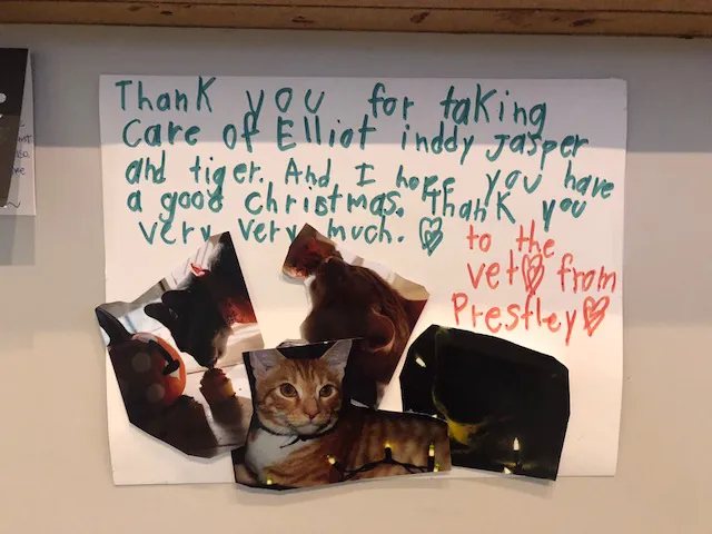 Johnson Veterinary Clinic 12