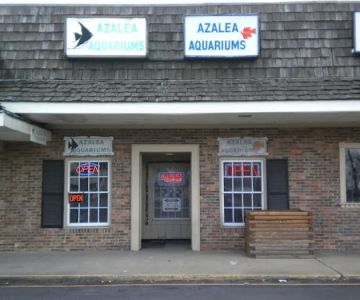Azalea Aquariums