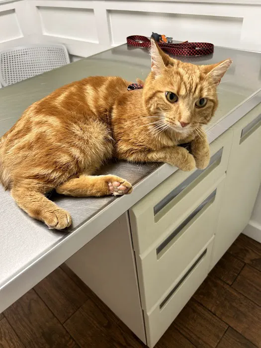 Grant County Veterinary Clinic 12