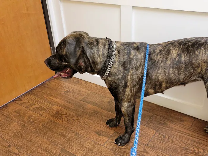 Grant County Veterinary Clinic 12