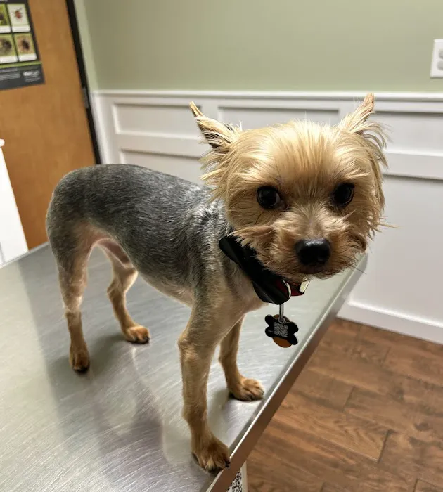 Grant County Veterinary Clinic 12