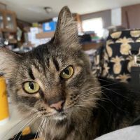 Grant County Veterinary Clinic ico