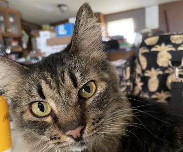 Grant County Veterinary Clinic