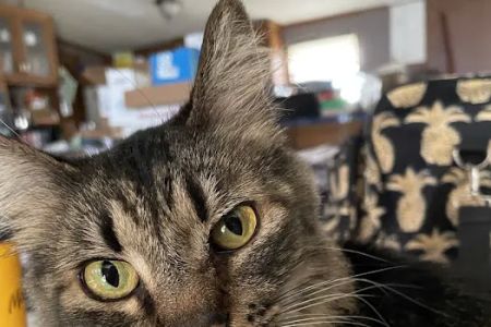 Grant County Veterinary Clinic