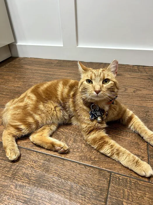 Grant County Veterinary Clinic 12