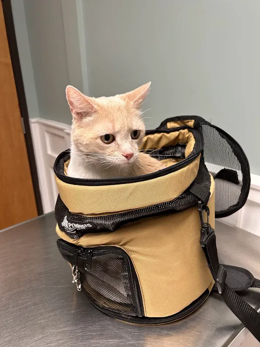Grant County Veterinary Clinic 12