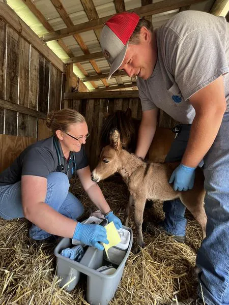 Bluegrass Mobile Veterinary Services 12