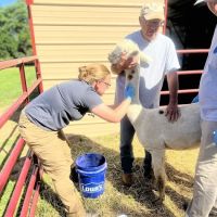 Bluegrass Mobile Veterinary Services ico