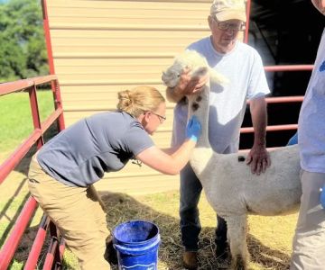 Bluegrass Mobile Veterinary Services