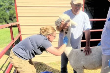 Bluegrass Mobile Veterinary Services