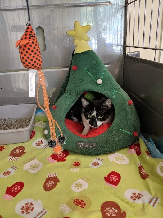 Lyndon Animal Clinic 12