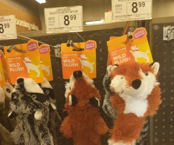 Petco