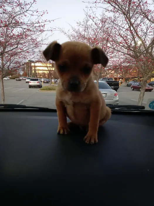 Westport Animal Hospital 12