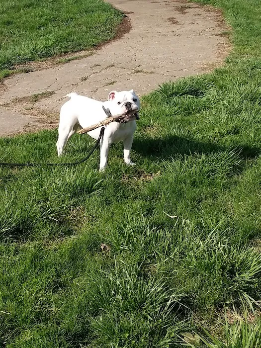 East Louisville Animal Hospital 12