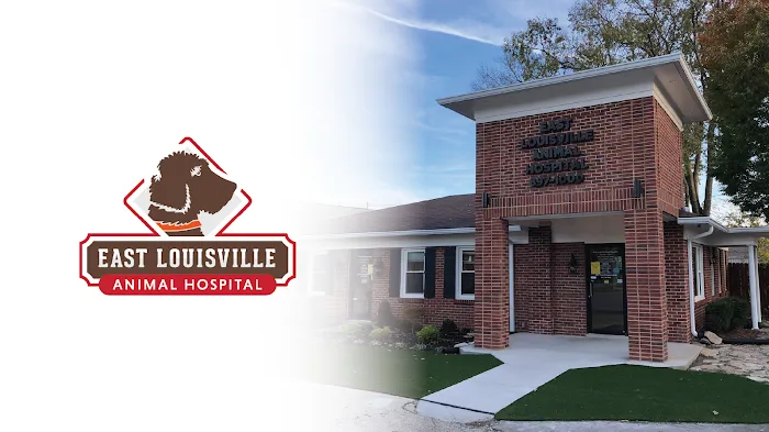 East Louisville Animal Hospital 12