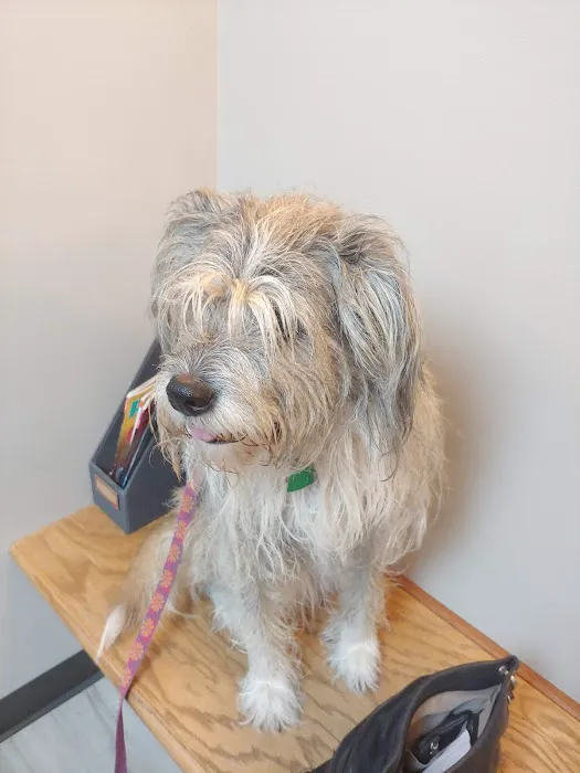 East Louisville Animal Hospital 12