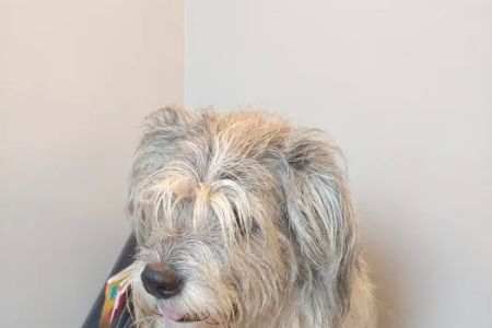 East Louisville Animal Hospital