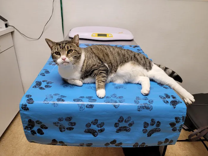 St. Matthews Animal Clinic 12