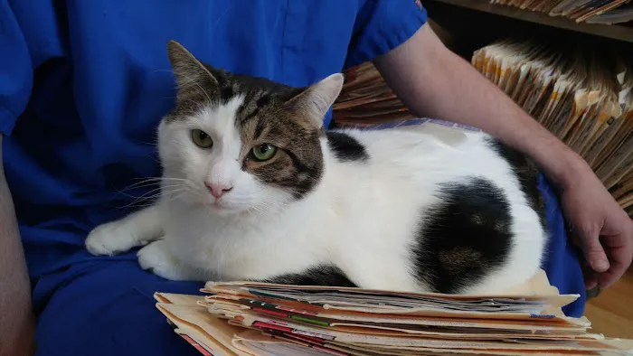 Chenoweth Lane Pet Clinic 12
