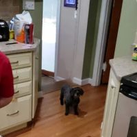 Chenoweth Lane Pet Clinic ico