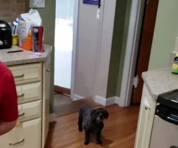 Chenoweth Lane Pet Clinic