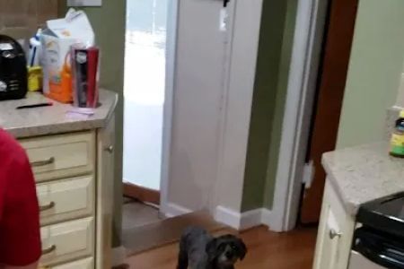 Chenoweth Lane Pet Clinic