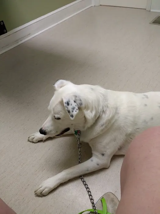 Chenoweth Lane Pet Clinic 12
