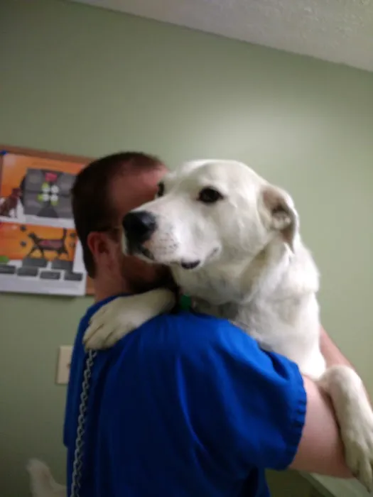 Chenoweth Lane Pet Clinic 12