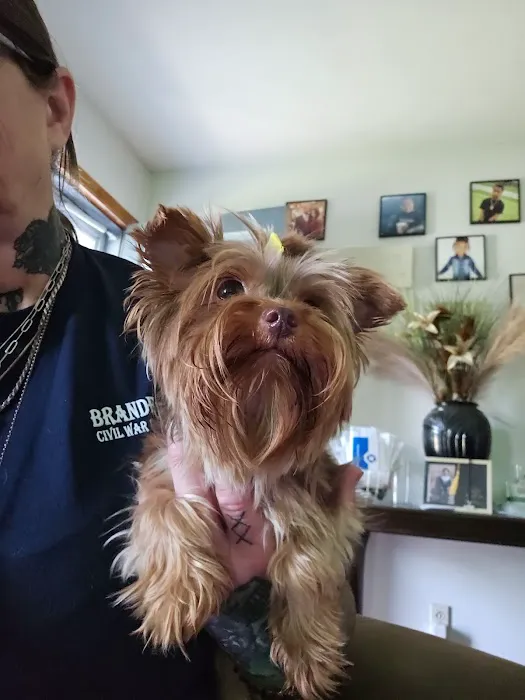 Fenwick Animal Clinic 12