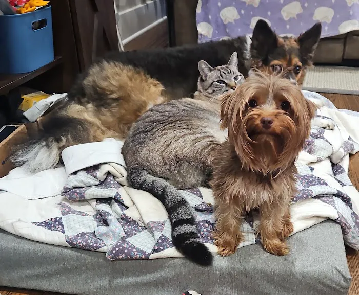 Fenwick Animal Clinic 12