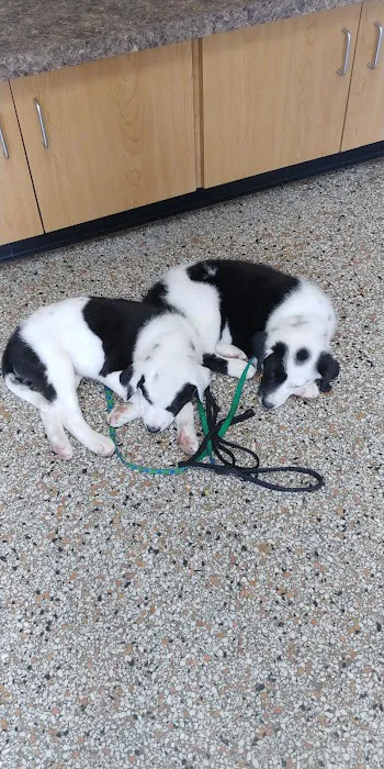 Fenwick Animal Clinic 12