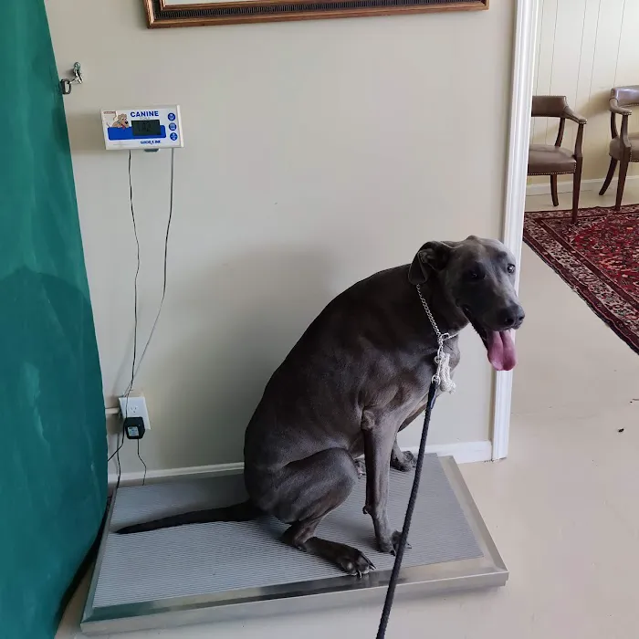 Chenoweth Animal Hospital 12