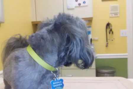 Chenoweth Animal Hospital