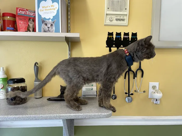 Chenoweth Animal Hospital 12