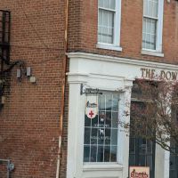 The Downtown Animal Hospital ico