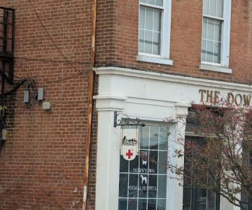 The Downtown Animal Hospital