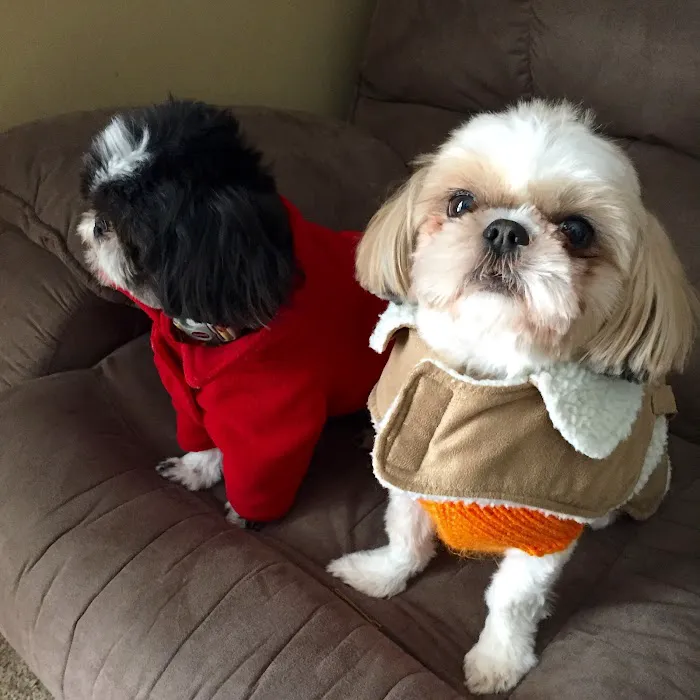 Heart's Ease Veterinary Care 12