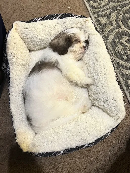 Pauley's Pups 9