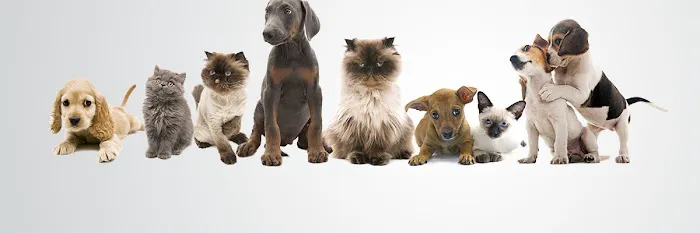 Blue Cross Animal Hospital 12