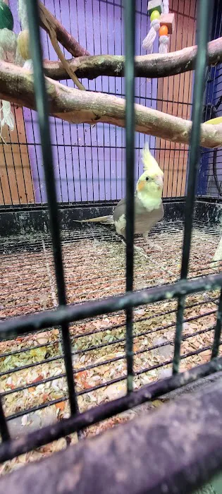 Fin & Feather of Ashland 5