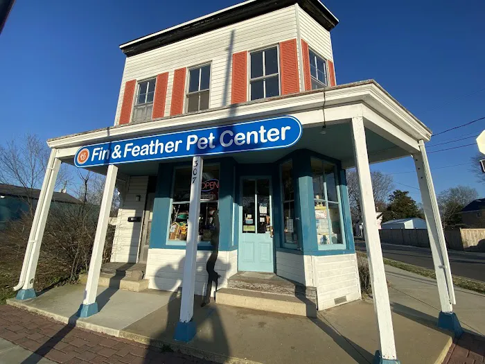 Fin & Feather of Ashland 3