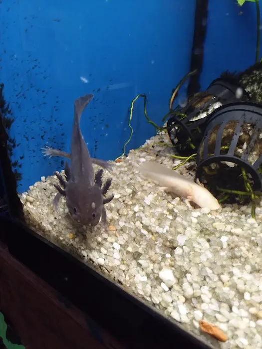 Fin & Feather of Ashland 8