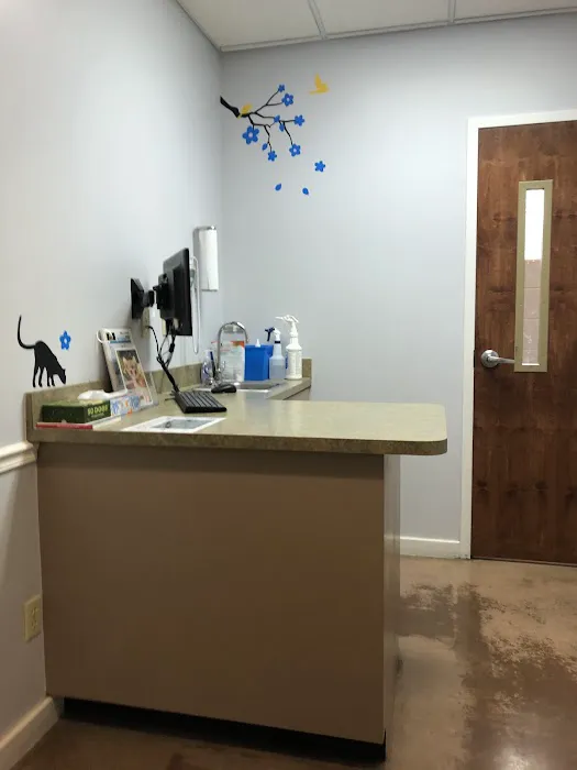 VCA Fairleigh Animal Hospital 12