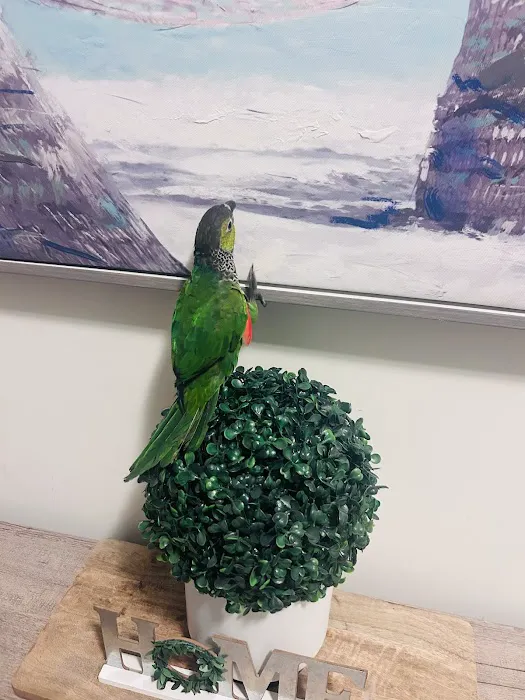 Petco 5